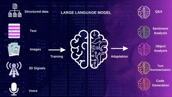 why is domain-specific language models important?